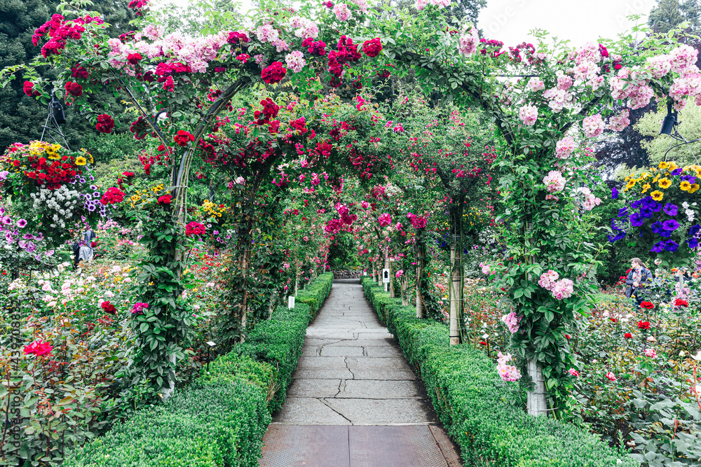 flowers.jpg