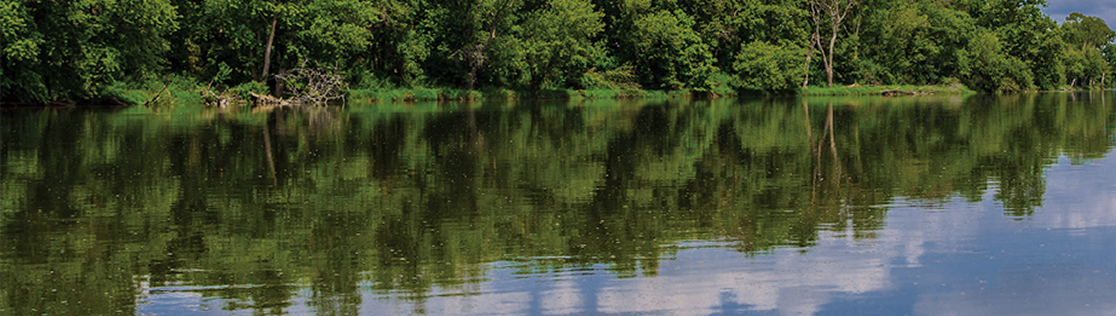 Trees reflect in lake
